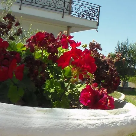 Klaudia Notopen Guest house Sarande