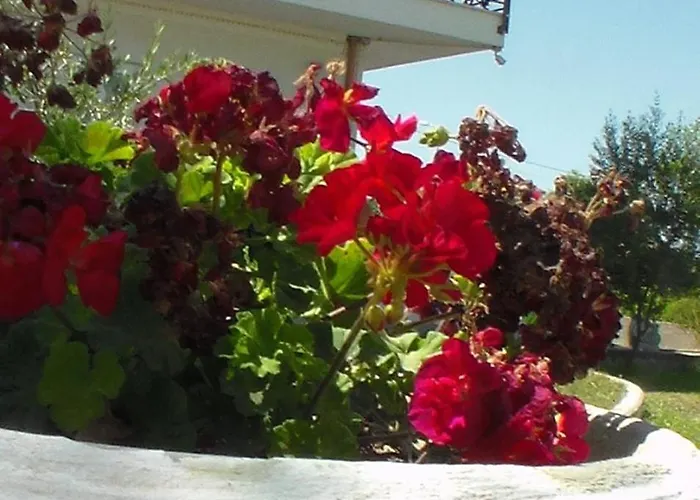 Klaudia Notopen Gasthof Sarandë